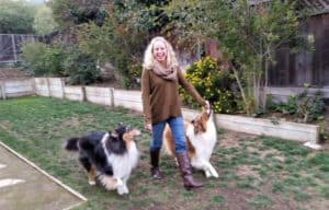 A laughing blondhaired woman walks between 2 Rough Collies, one tricolor and one sable and white