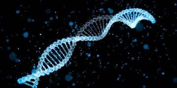 Collie DNA