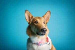 A close-up head shot of Amelia's short-haired mom, Brooke, sitting and looking at the camera with gentle, brown eyes