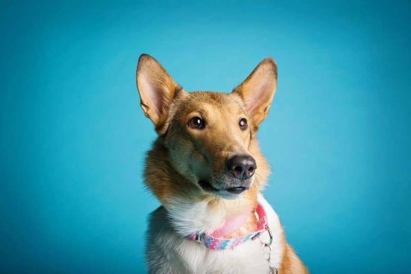 A close-up head shot of Amelia's short-haired mom, Brooke, sitting and looking at the camera with gentle, brown eyes