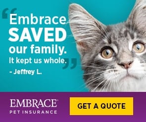 Embrace pet insurance for dogs and cats