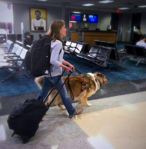 Kolby walking, holding luggage handle in one hand and harness handle in the other.