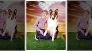 Sassy Lassie, The Rough Collie Guide Dog