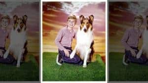 Timmy kneeling, Lassie sitting by his side, sunset background.