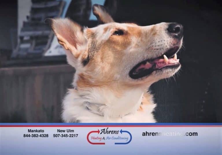 A still photo from Tag's commercial for Ahren's Heating and Cooling showing a closeup profile view of his smiling face