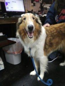 Luna standing in an office, smiling for the camera.