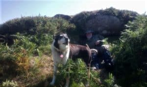 Finn in mid-bark standing on a scrubby, rocky hillside