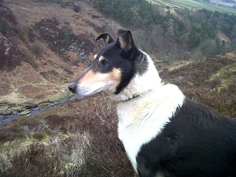Finn looks out over a deep gully