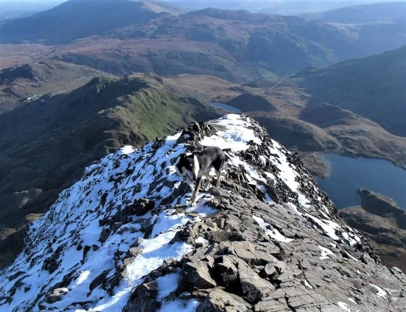 Finn stands outlined on a high, rocky snowy mountain ridge