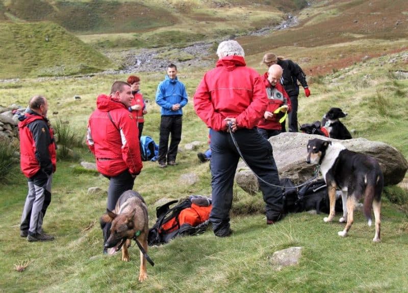 A group of searchers and dogs stand in a field among the rocks