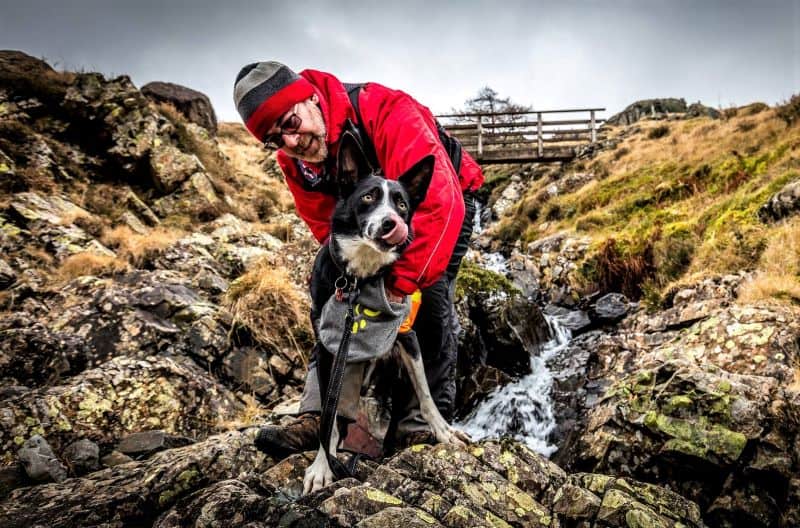 A handler pets his search dog, a black and white smooth coated border collie licking its lips