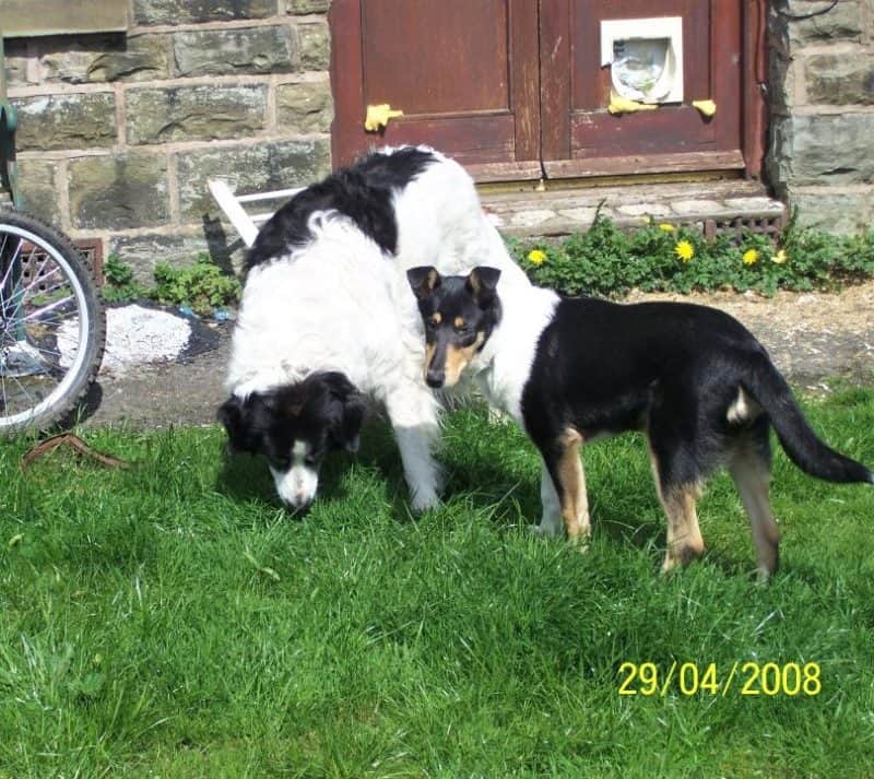 Baby Finn with senior Roy