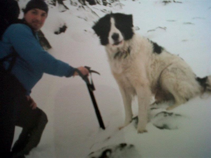 Stephen with a pack and climbing gear on a snowy slope withwith his big Border Collie Roy sitting in the snow beside him