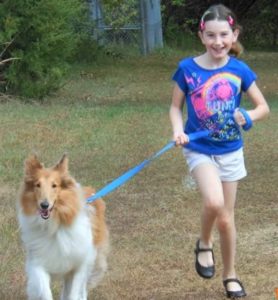 A young girl runs through a field with a beautiful sable and white Rough Collie