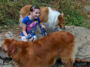 A young girl sits outside between an older Golden Retriever and Pixie, the sable Collie