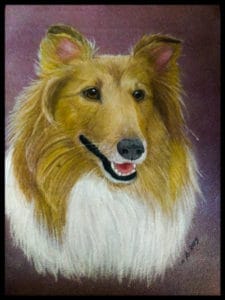 Closeup headshot painting of a happy sable and white Collie against a deep purple background