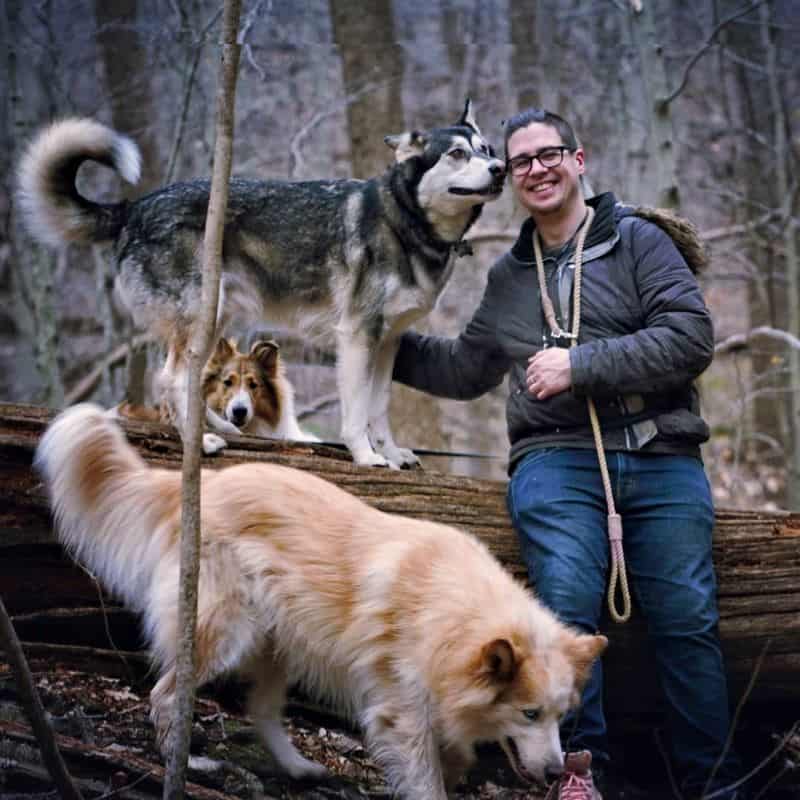 A woodland scene with Dylan in a winter coat sitting on a fallen tree trunk, Lakota standing on the log next to him, Seneca on the ground at his feet, and Vasya peeking her head over the log behind Dylan