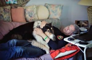 Pepsi lies on the couch atop Dad