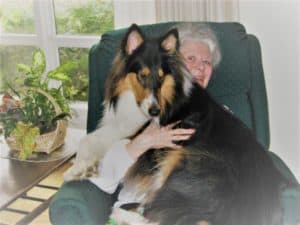 Pepsi sits in a chair fully atop Grandmas lap, and she has her arm around him