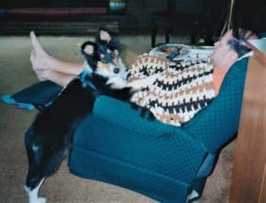 Pepsi has his hind legs on the ground and his front half lying on Grandpas lap as he sits in an armchair recliner