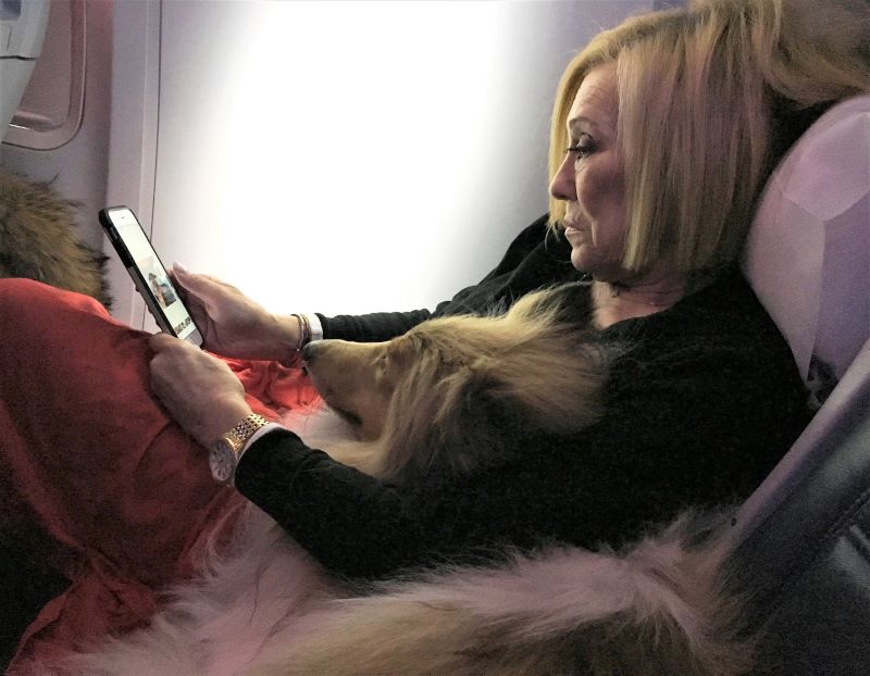 Cody on the plane beside Donna, calmly lying with his head in her lap while she reads