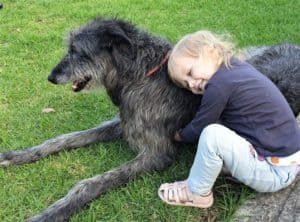 A small young girl sits on the ground with her arms wrapped around a grey scottish deerhound lying on the groun