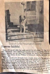 Newspaper clipping says "Forever Faithful" and shows a black and white image of Shep on a front porch