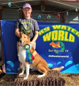 A sable and white Smooth Collie (Collie shorthair) wearing an award ribbon sits on a bale of straw in front of a beaming woman and a sign that reads "K9 Water World, San Marco, Texas"