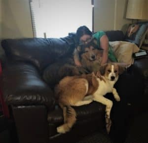 A girl on a small loveseat couch wearing a green shirt hugs a large mahogany sable and white Rough Collie in her lap, while an Australian Shepherd mix puppy cuddles in front of them both