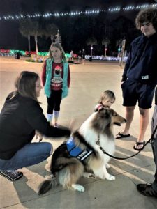 a mahogany sable and white Rough Collie wearing a blue P.A.W. training vest sits calmly while being petted by 2 children and a woman