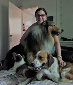 a dark-haired smiling girl rests her chin atop a large mahogany sable Rough Collie while a Collie puppy and freckled Aussie mix cuddle together by his paws
