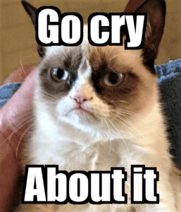 grumpy cat with caption "go cry about it"