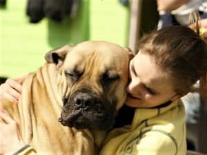 A fawn mastiff with black muzzle snuggles into a smiling red-haired woman