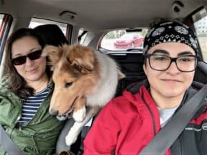 A sable merle Rough Collie puppy rideshappily in a car between 2 smiling people