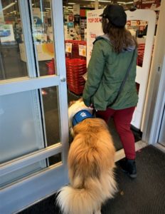 A girl wearing a black hat walks into a store with a sable merle and white Rough Collie at her side wearing a blue P.A.W Service Dogs training vest