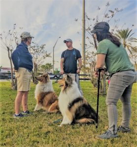 3 people, a woman wearing shorts, a man wearing a P.A.W. Service Dogs shirt, and a woman leaning on cane, stand around talking while 2 sable and white Rough Collies sit at attention