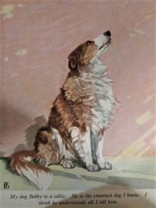 A book illustration of a painted sable (tan) and white Collie with a white muzzle. The accompanying caption says "My dog Bobby is a collie. He is the smartest dog I know. I think he understands all I tell him."