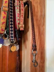 A braided leather leash hangs beside a variety of dog collars with tags