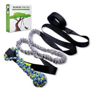 dog bungee tug toy