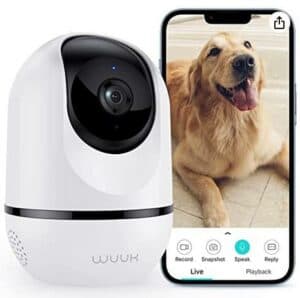 dog monitoring camera