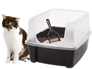 open top cat litter box