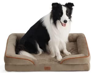 orthopedic dog bed