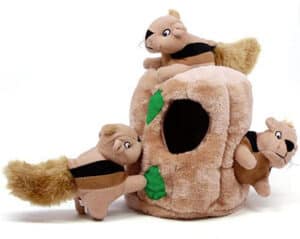 squirrel dog puzzle toy