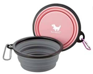collapsible water bowl for dogs