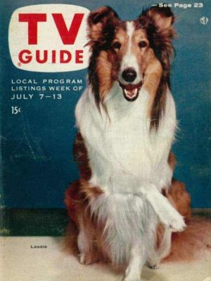 Lassie the Famous Rough Collie Lassie